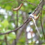 110235598_708779363032667_5328760227940559279_n