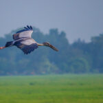 87169230_2775488829234171_3754376091918139392_n