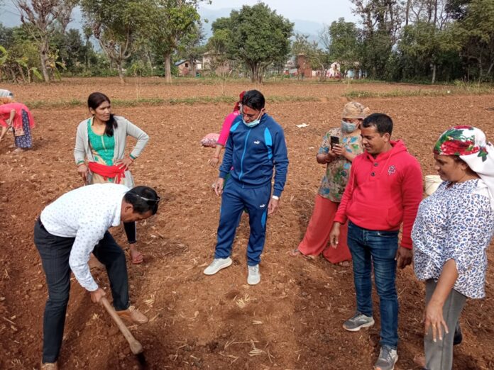 janapratinidhi aalu lagaudai
