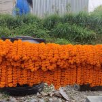 IMG-0410a69e5d8f50d375635ae4df1438b0-V