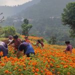 IMG-27db1b10b5f611f584c4e5a1ec4b42e3-V