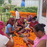 IMG-53a5b83b30d046061f78842747142684-V