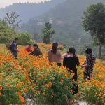 IMG-6cb45bae677bfa6a2220fdc33f0ad8f5-V