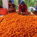 IMG-9abf41b593b1279a9e7e9842aa2e578d-V