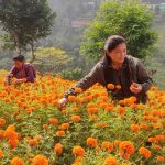 IMG-fd8b3704b61fbbe10118a37e90d3d40f-V