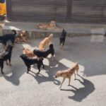 FB_IMG_1639878170498