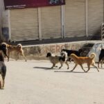 FB_IMG_1639878175029